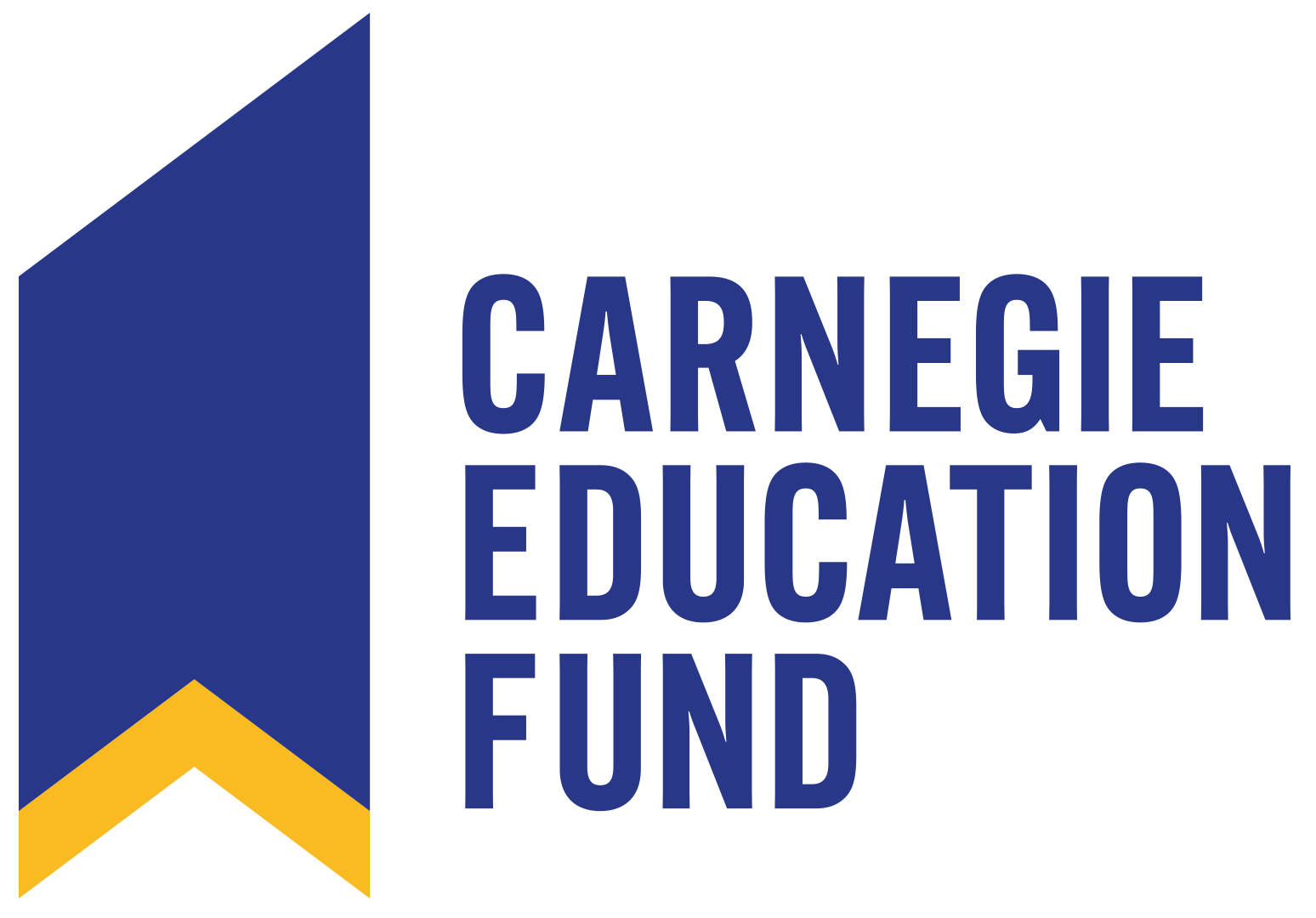 carnegie education fund