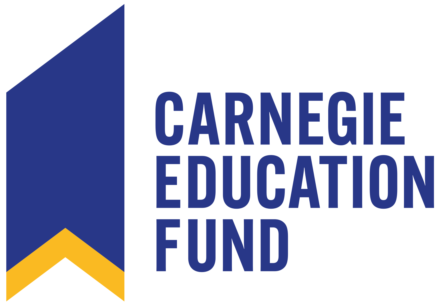 carnegie education fund